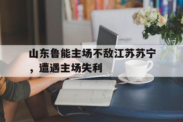 山东鲁能主场不敌江苏苏宁，遭遇主场失利的简单介绍